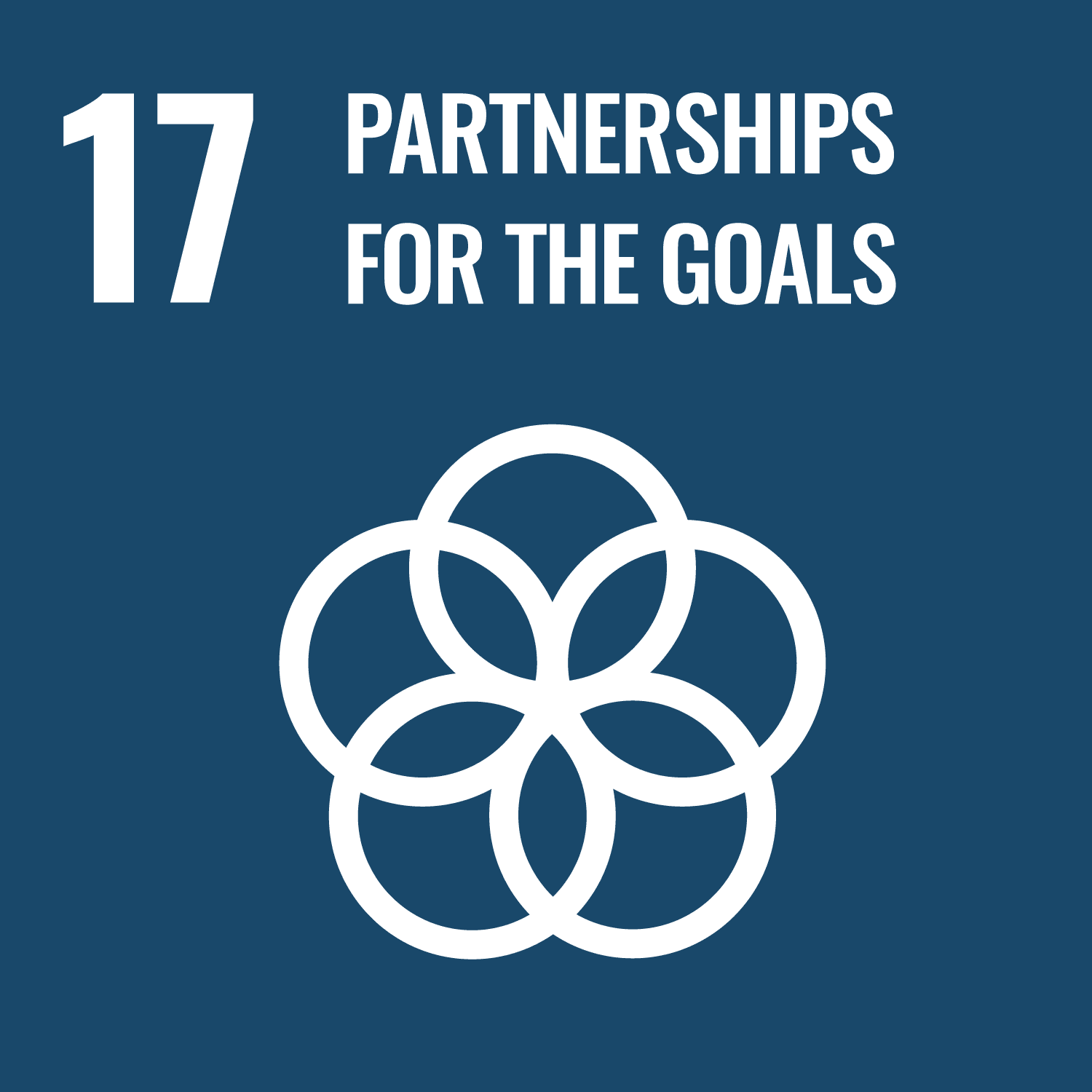 SDG 17 - Partnership for the goals