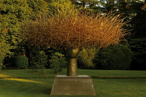ClioDorata_700x400