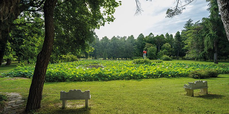 Parco_700x400